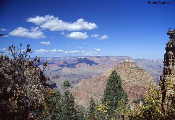 USA SW 1994030 USA SW 1994030